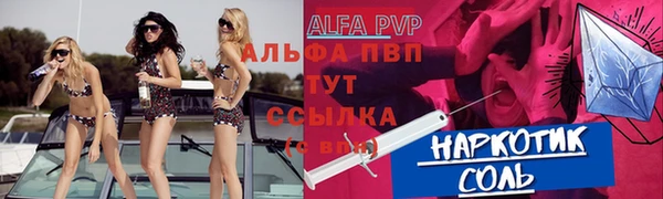 шишки Белокуриха
