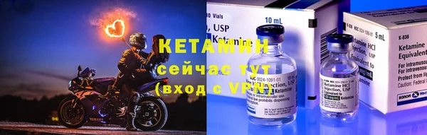 шишки Белокуриха