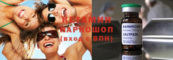 шишки Белокуриха