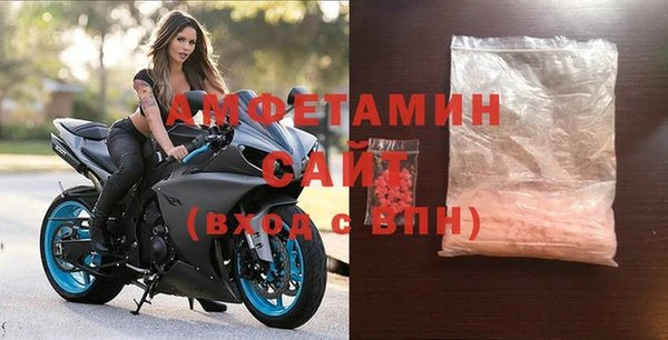 шишки Белокуриха