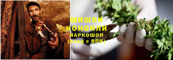 шишки Белокуриха