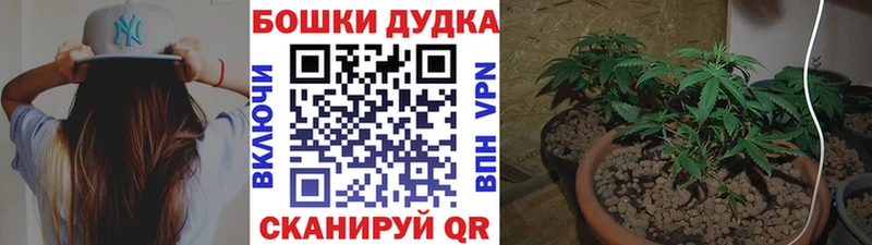 МАРИХУАНА план Теберда
